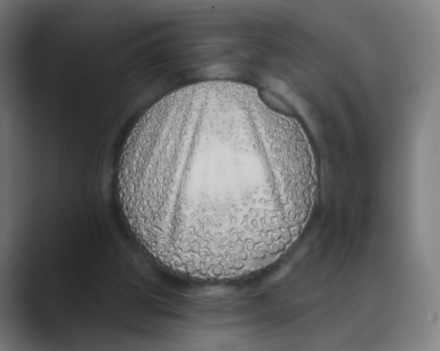 X0000088670153200706281928