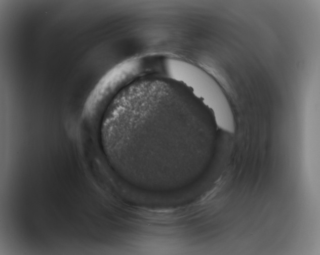 X0000088670156200706281929