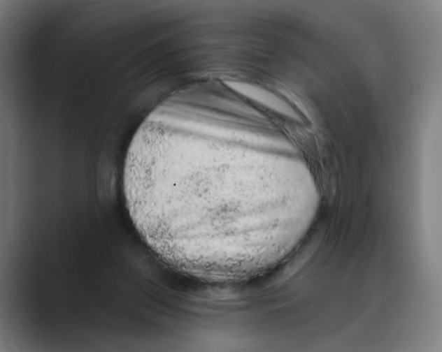 X0000088670157200706281929