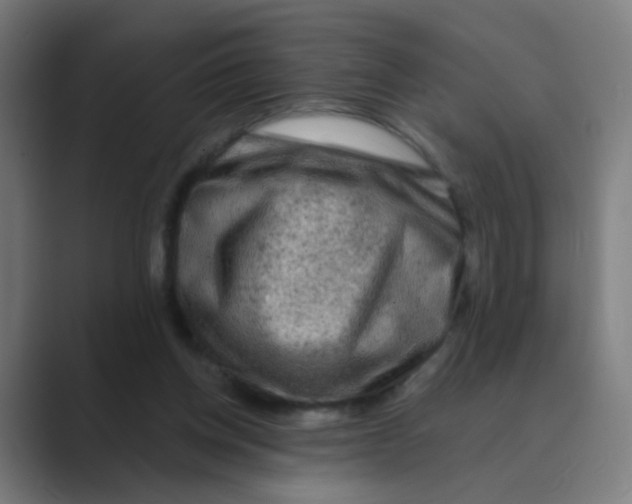 X0000088670158200706281929