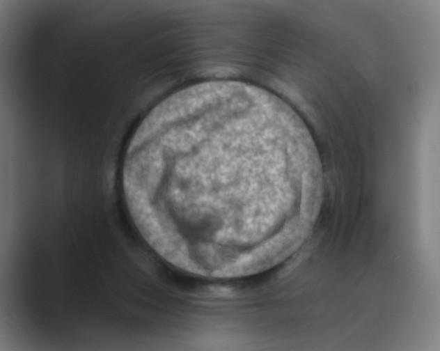 X0000088670159200706281929