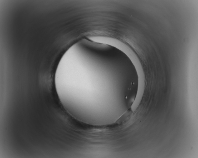 X0000088670160200706281929