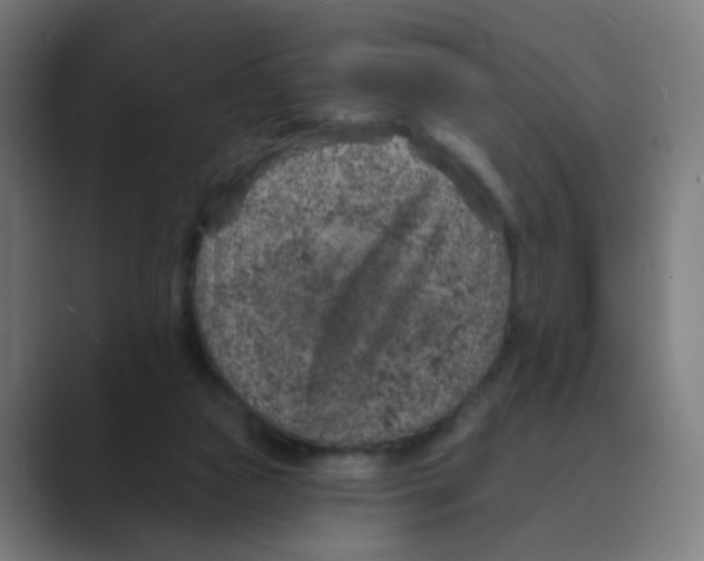 X0000088670161200706281929