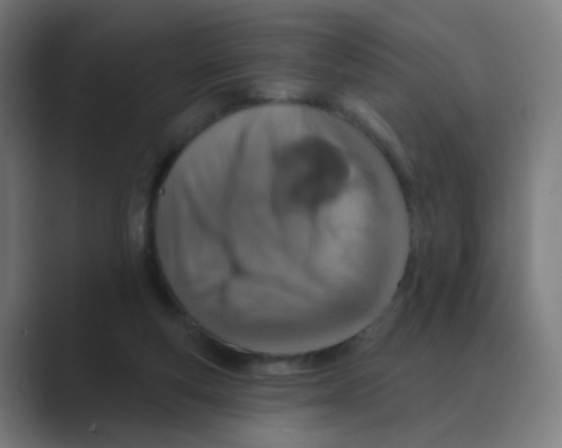 X0000088670163200706281929