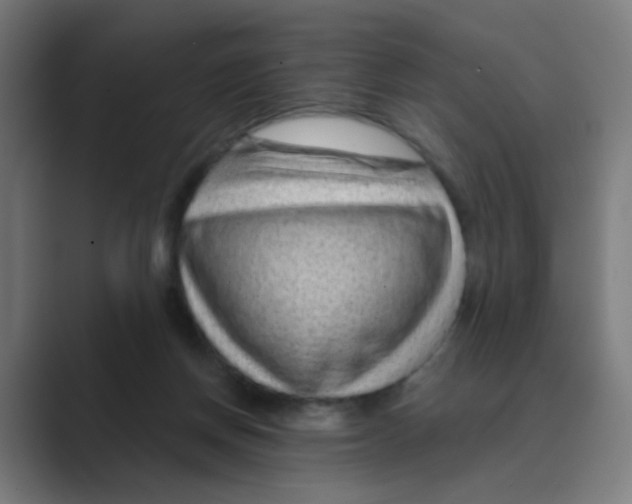 X0000088670166200706281929