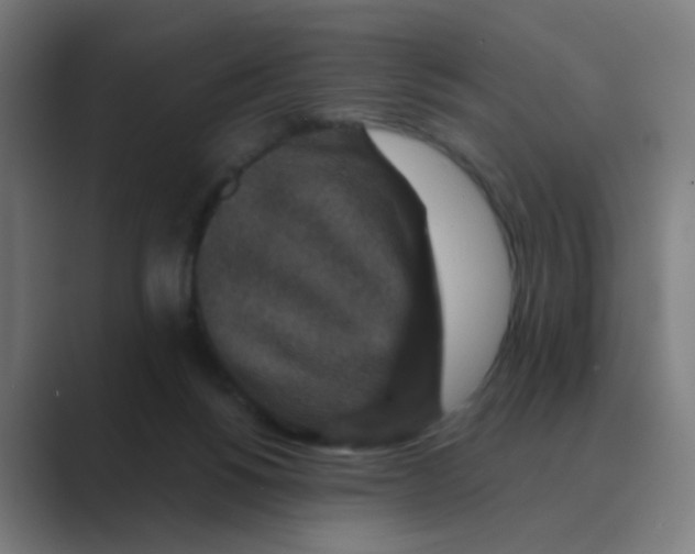 X0000088670168200706281929