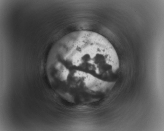 X0000088670169200706281929