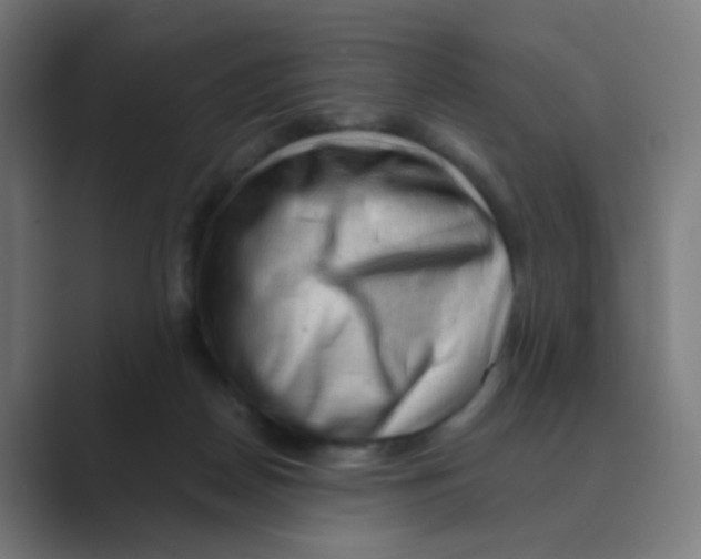 X0000088670170200706281929