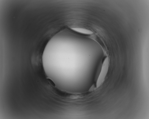 X0000088670172200706281929