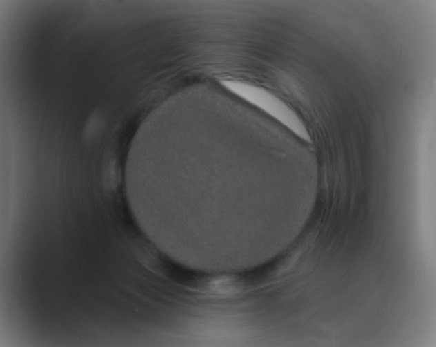 X0000088670173200706281929