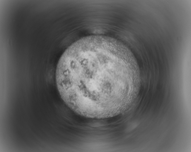 X0000088670175200706281929
