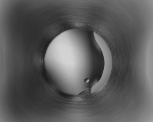 X0000088670176200706281929