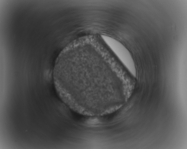 X0000088670177200706281929