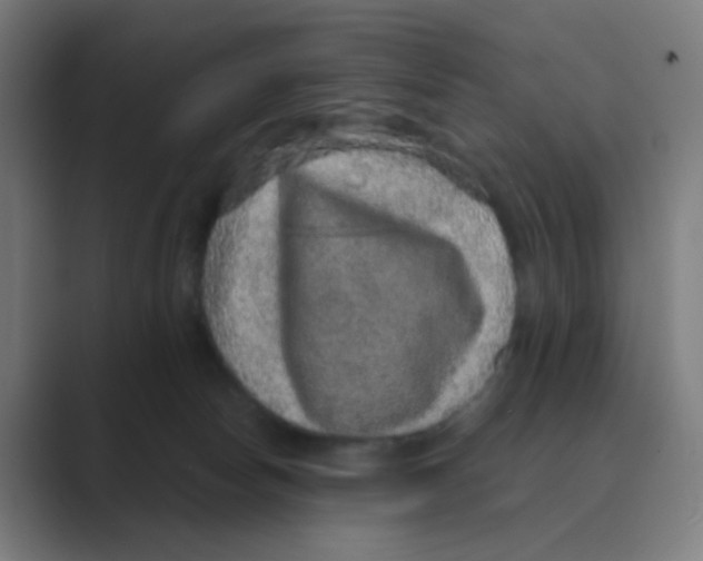 X0000088670178200706281929