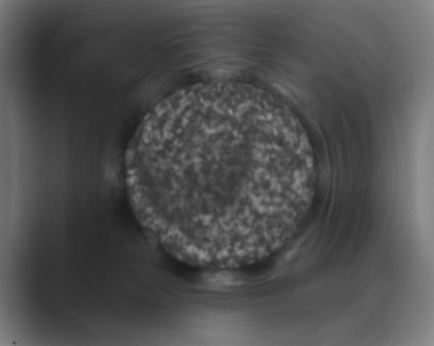 X0000088670181200706281929