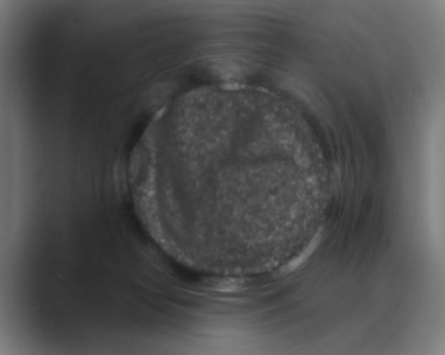 X0000088670182200706281929