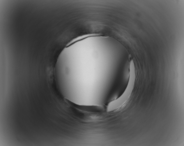 X0000088670184200706281929