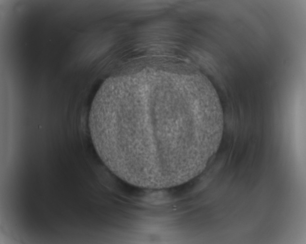 X0000088670185200706281929