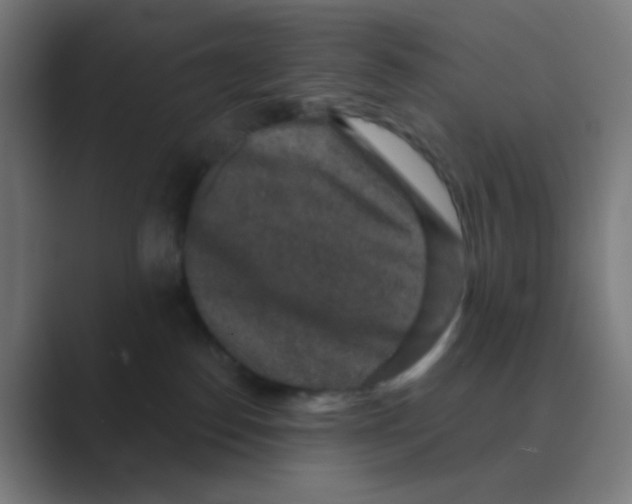 X0000088670186200706281929