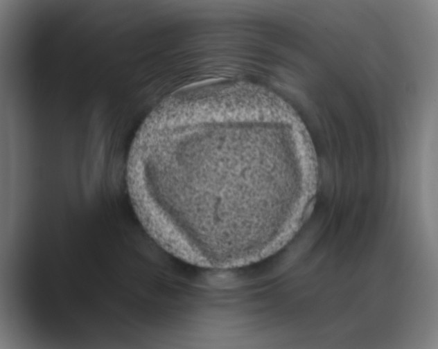 X0000088670189200706281929