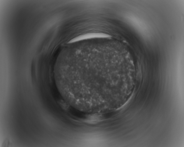 X0000088670191200706281929