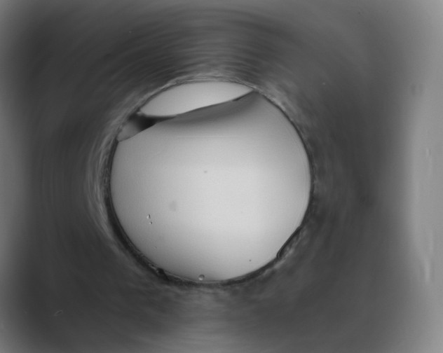X0000088670193200706281928