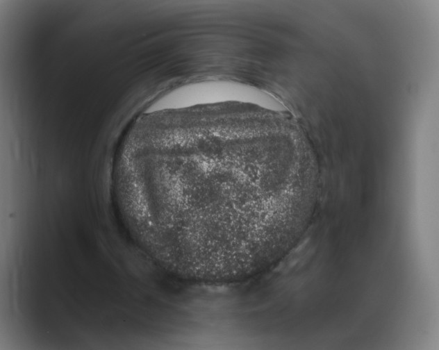 X0000088670194200706281928