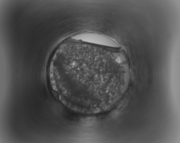 X0000088670196200706281928