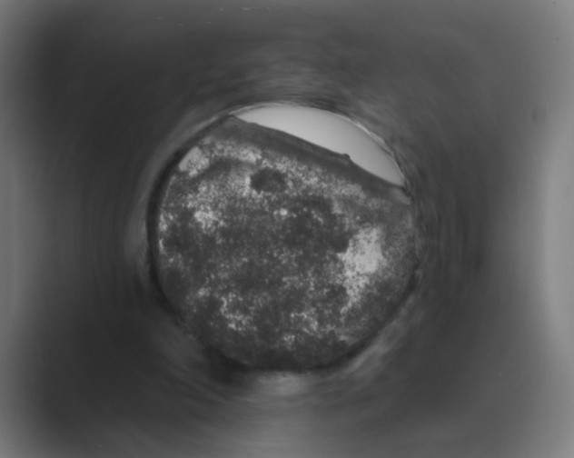 X0000088670198200706281928