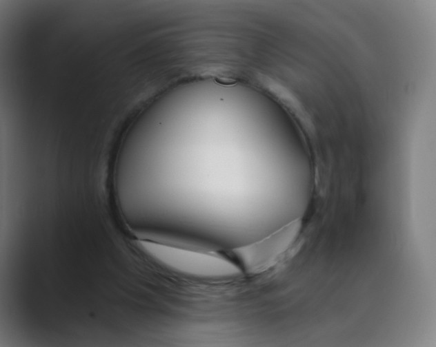 X0000088670201200706281928