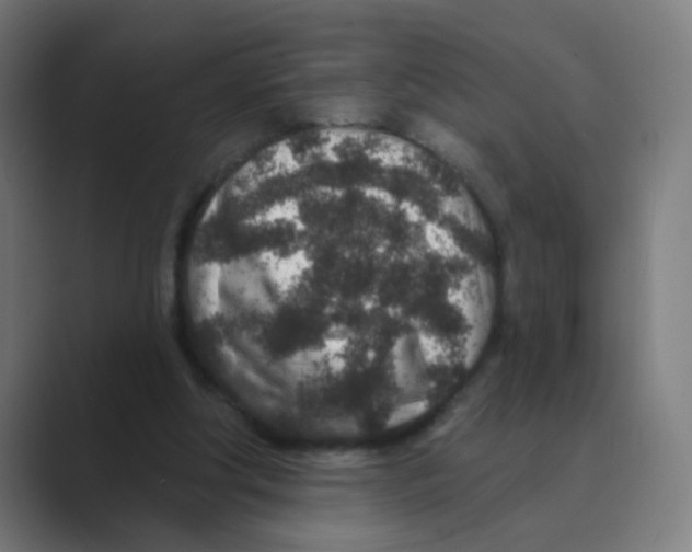 X0000088670202200706281928