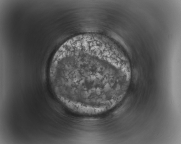 X0000088670203200706281928