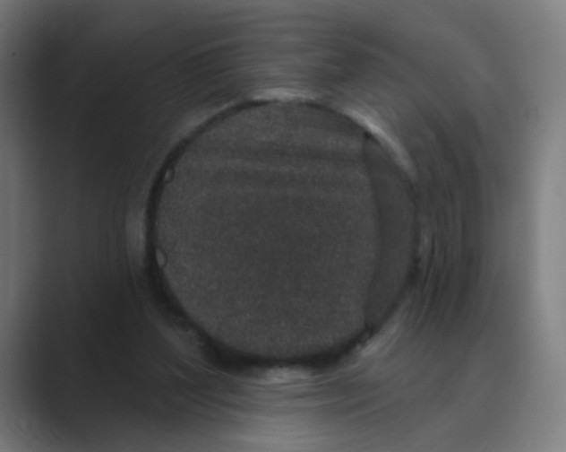 X0000088670204200706281928