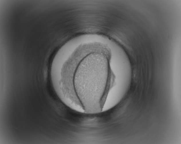 X0000088670206200706281928