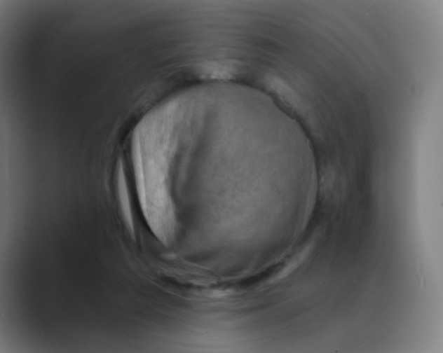 X0000088670209200706281928