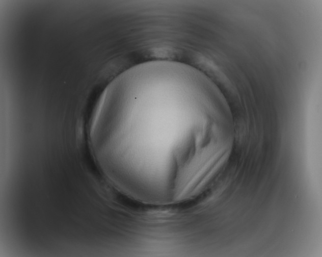 X0000088670213200706281928