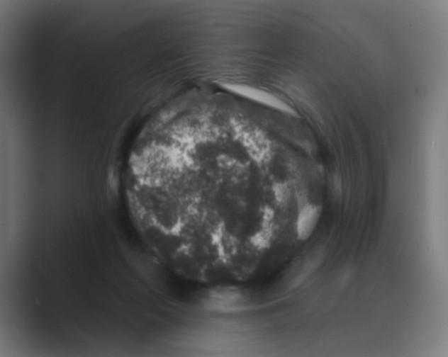 X0000088670214200706281928