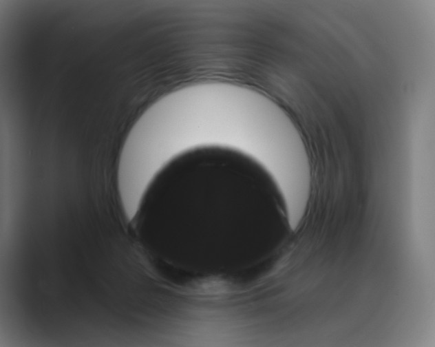 X0000088670219200706281928