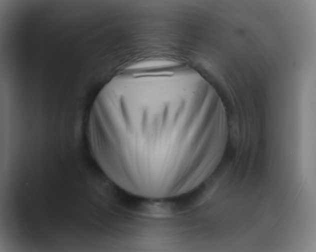 X0000088670221200706281928