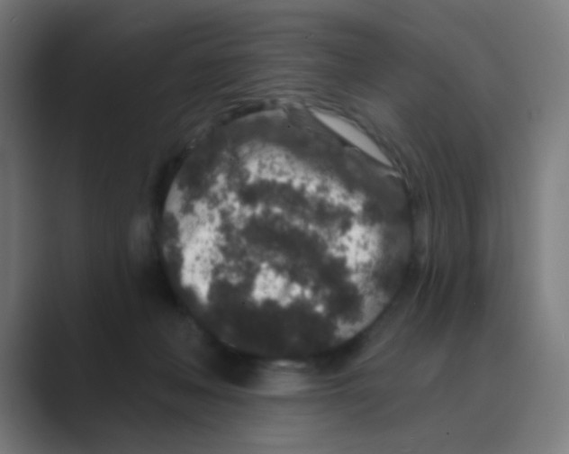 X0000088670222200706281928
