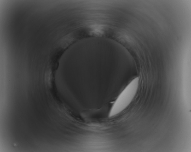 X0000088670223200706281928