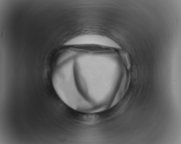 X0000088670225200706281928