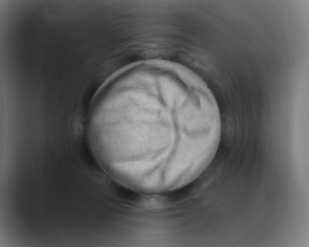 X0000088670226200706281928