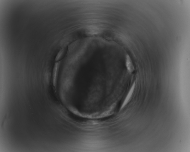 X0000088670227200706281928