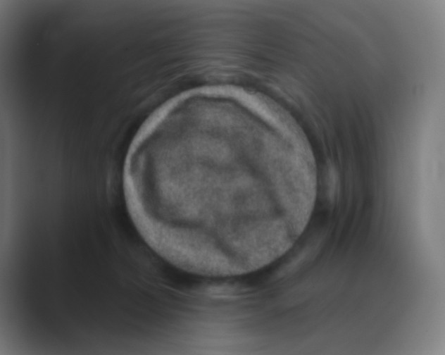 X0000088670228200706281928