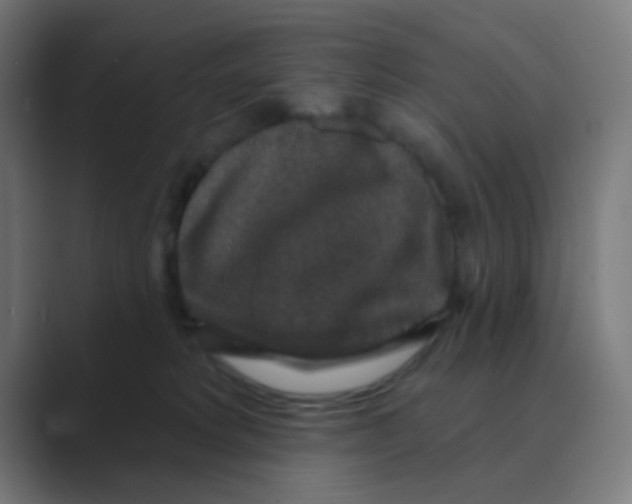 X0000088670229200706281928
