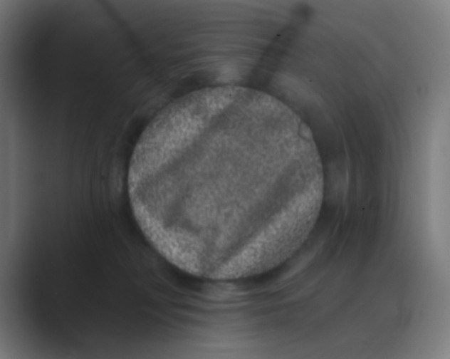 X0000088670230200706281928