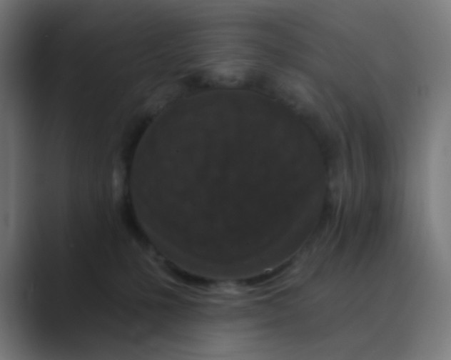 X0000088670231200706281928