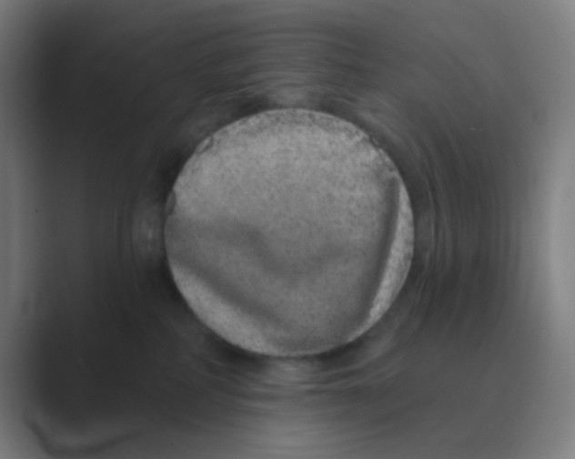 X0000088670234200706281928