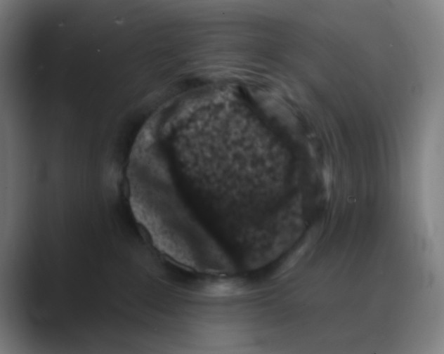 X0000088670235200706281928